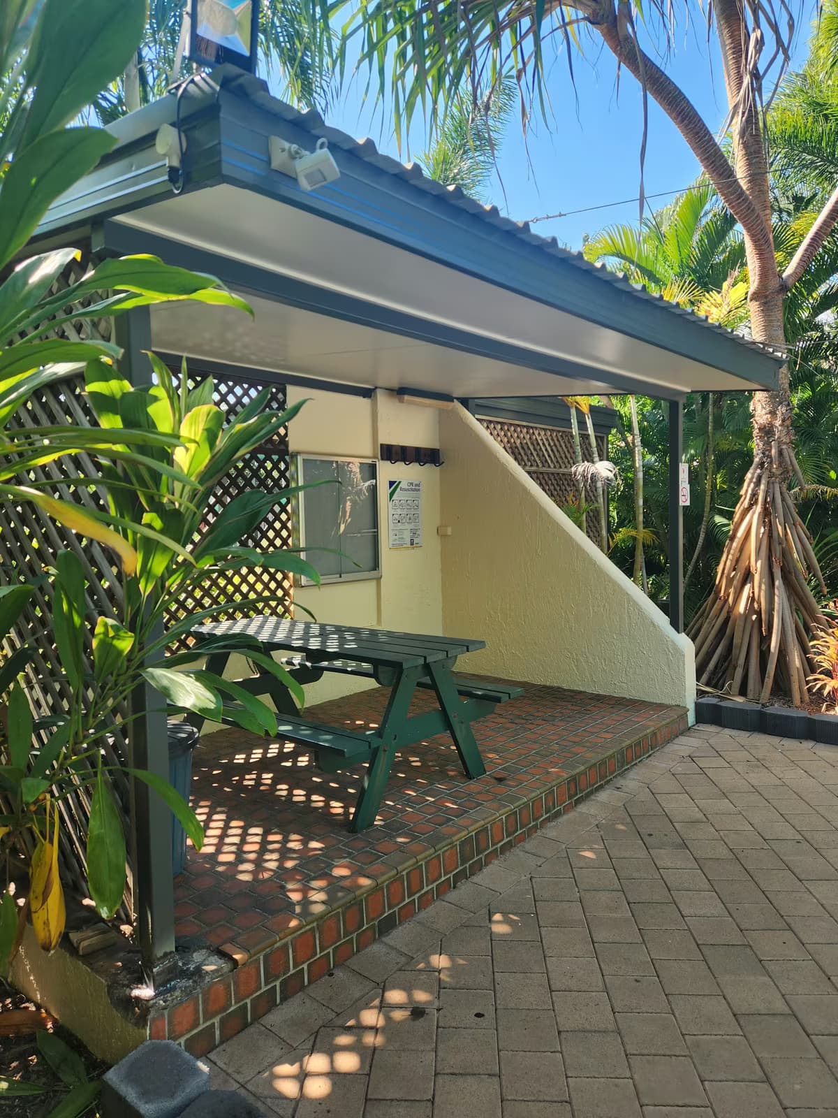 Patio & Walkway Refresh
