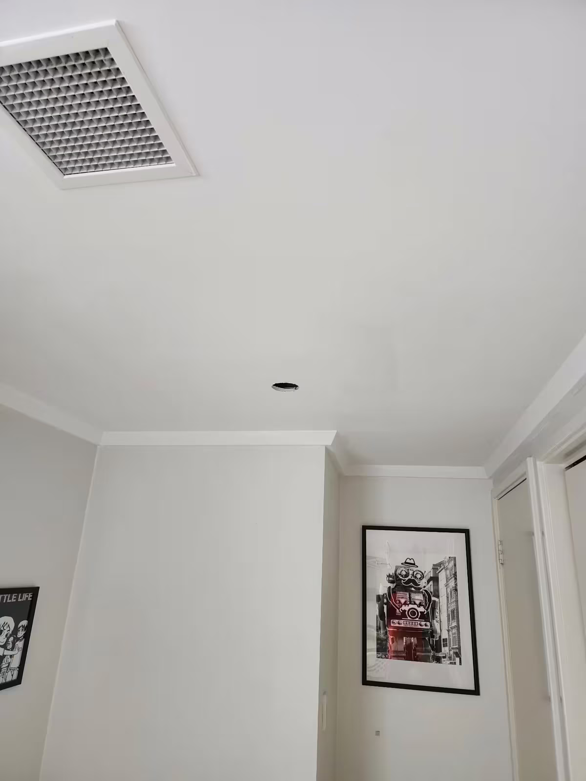 Ceiling & Walls